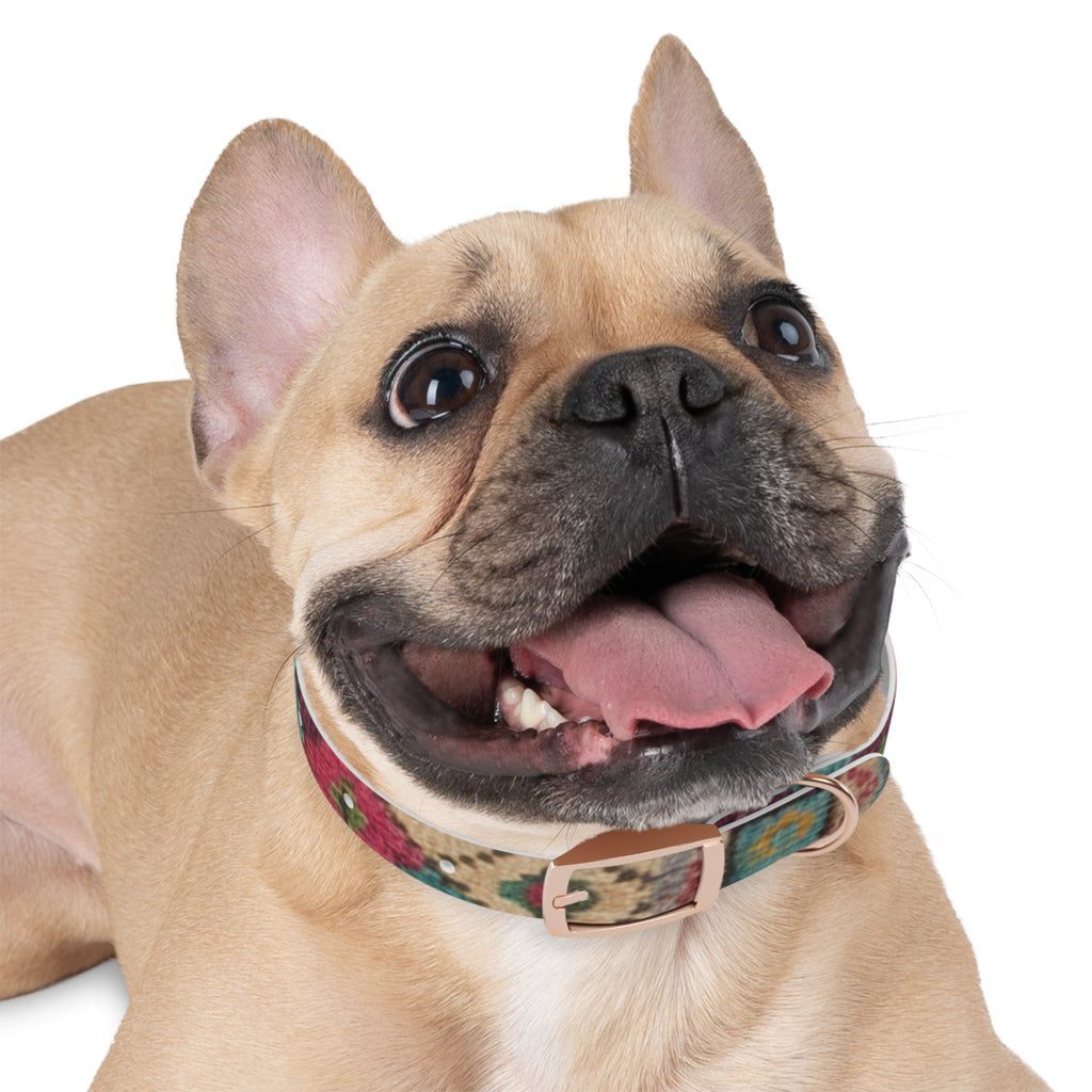 Boho Ikat Pattern Dog Collar | Colorful Southwestern Print