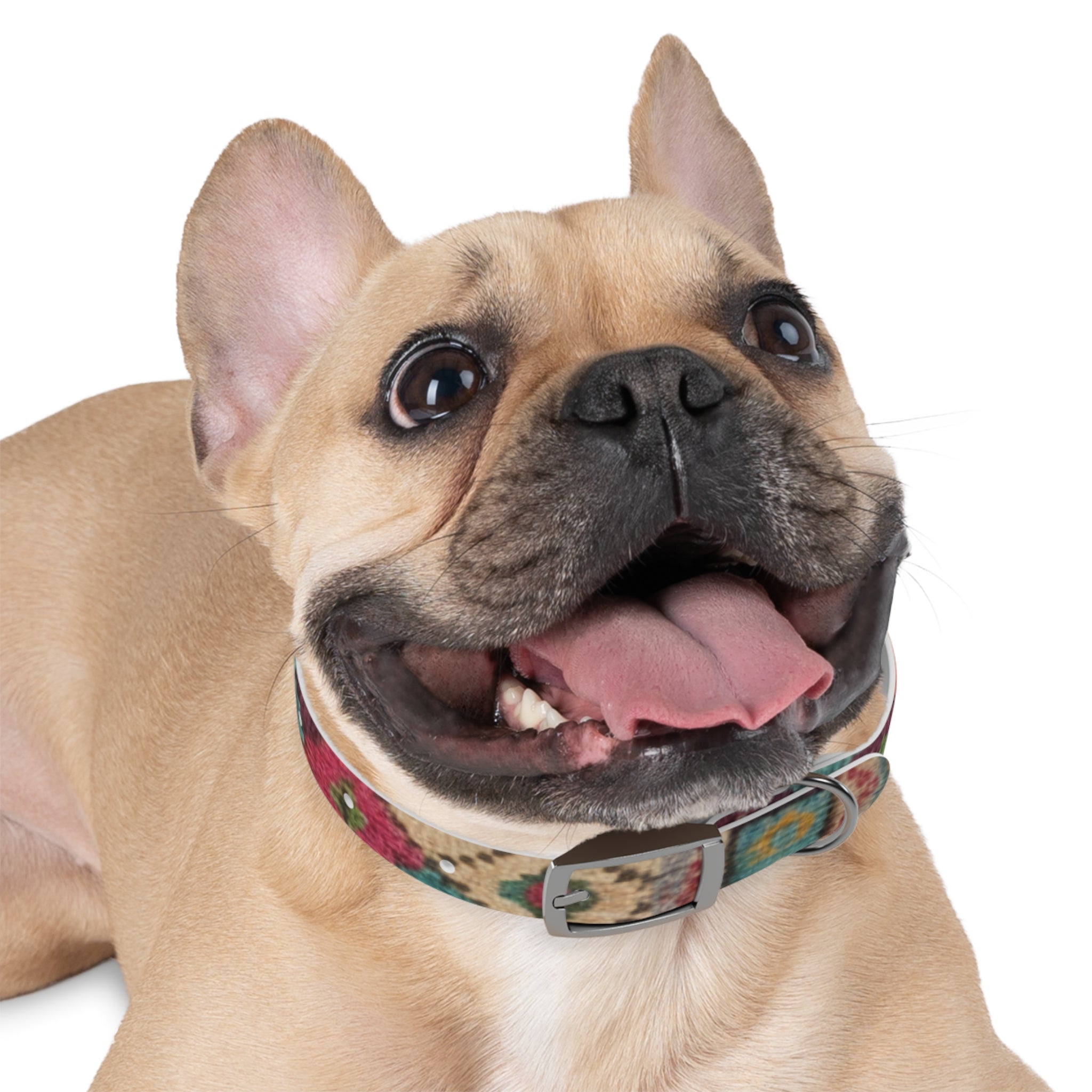 Boho Ikat Pattern Dog Collar | Colorful Southwestern Print