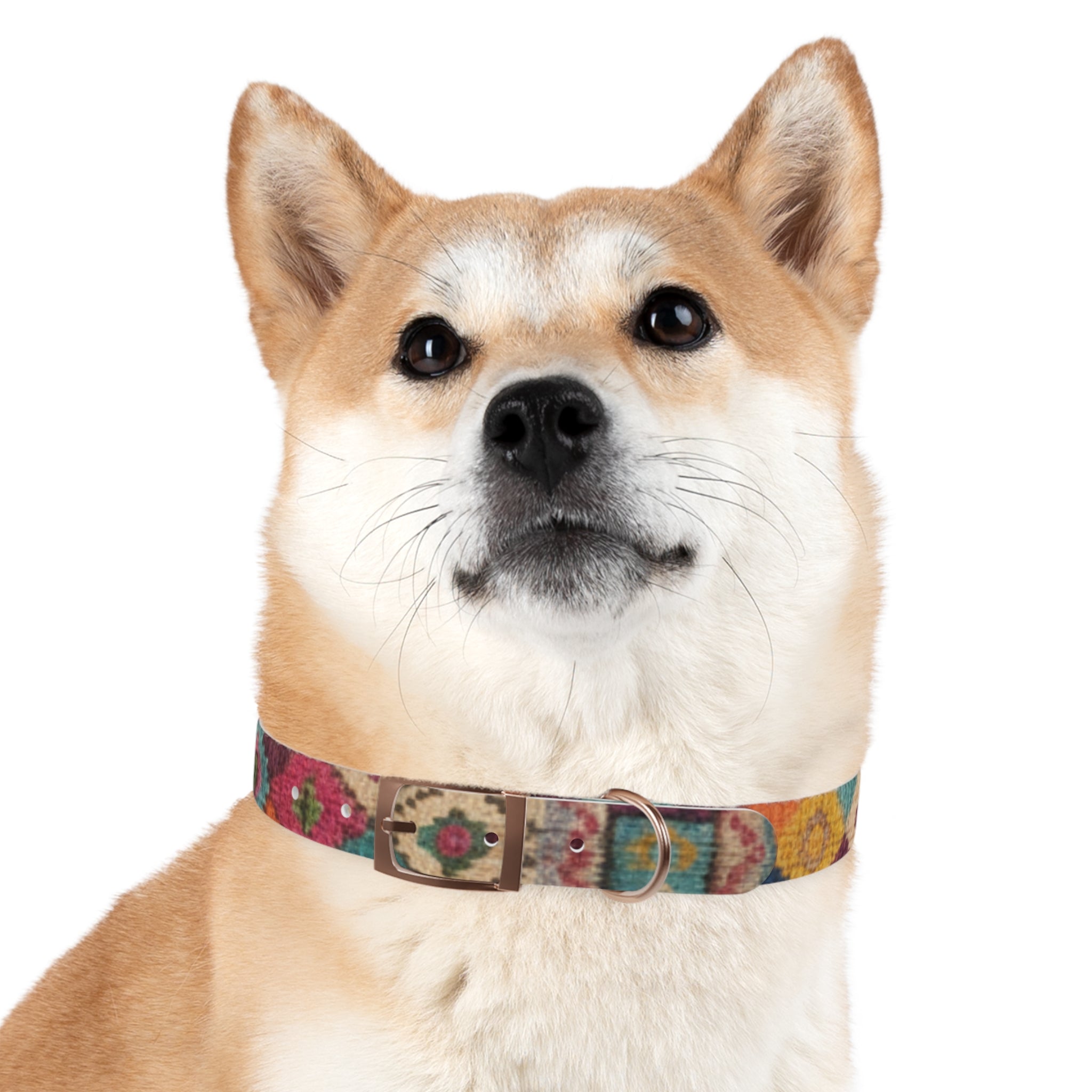 Boho Ikat Pattern Dog Collar | Colorful Southwestern Print